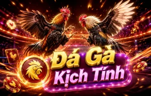 Đá Gà addchimex